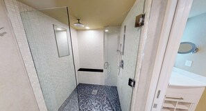 Shower, jetted tub, hair dryer, towels