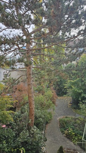 Messe studio suites Basel #2