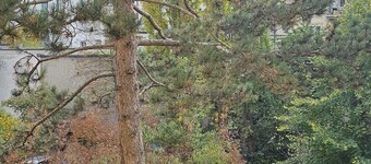 Messe studio suites Basel #2