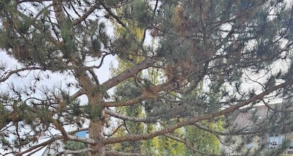 Messe studio suites Basel #2