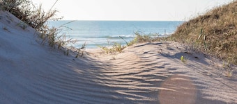 Albufera Dreams Nature Suites