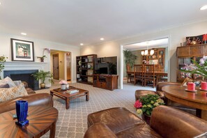 智能电视、壁炉、DVD 播放器、书