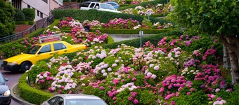 Luxurious Pacific Heights Retreat with Rooftop Deck