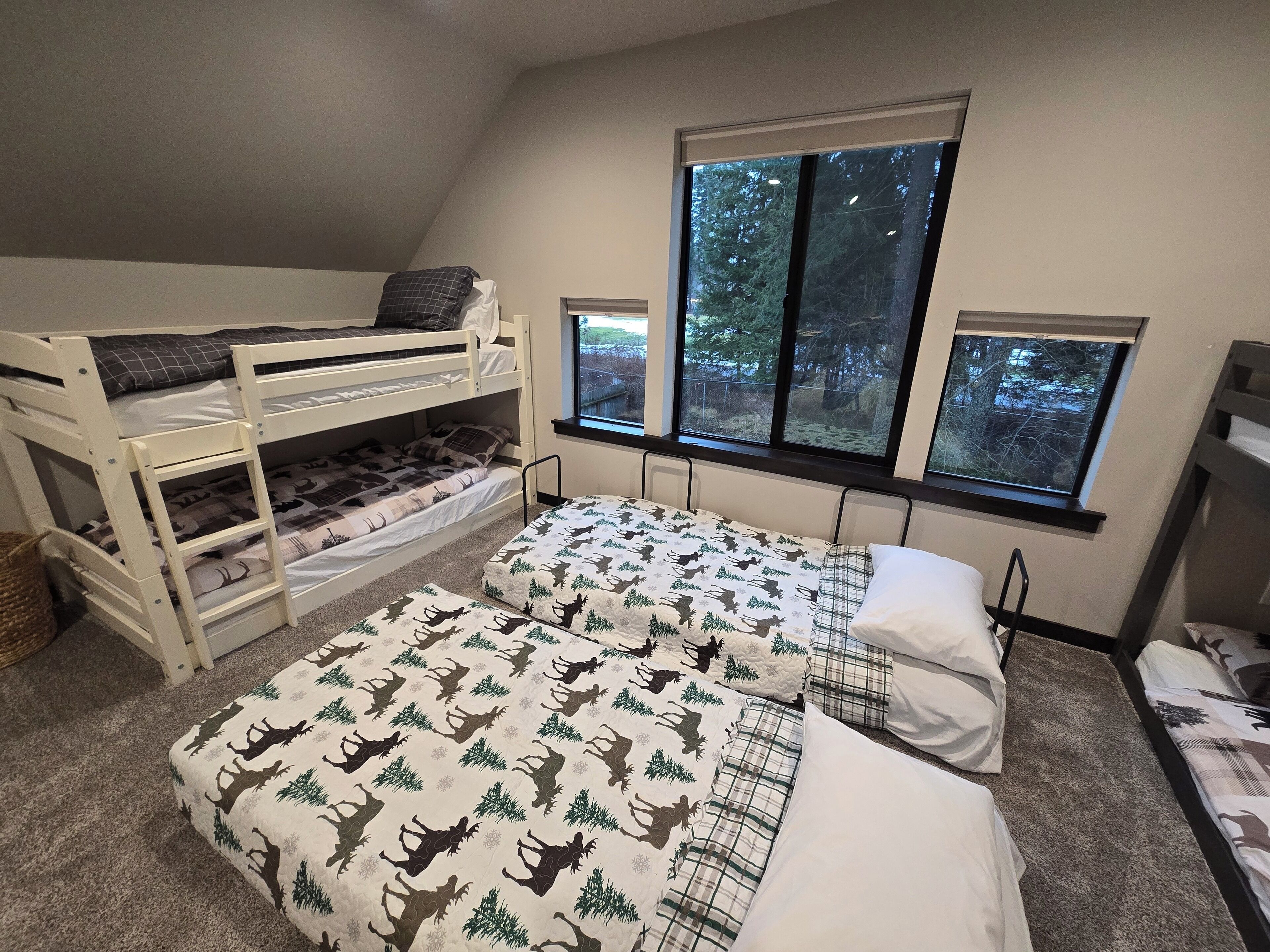 A dormitory room with bunk beds, a window with a view of trees, and a carpeted floor.