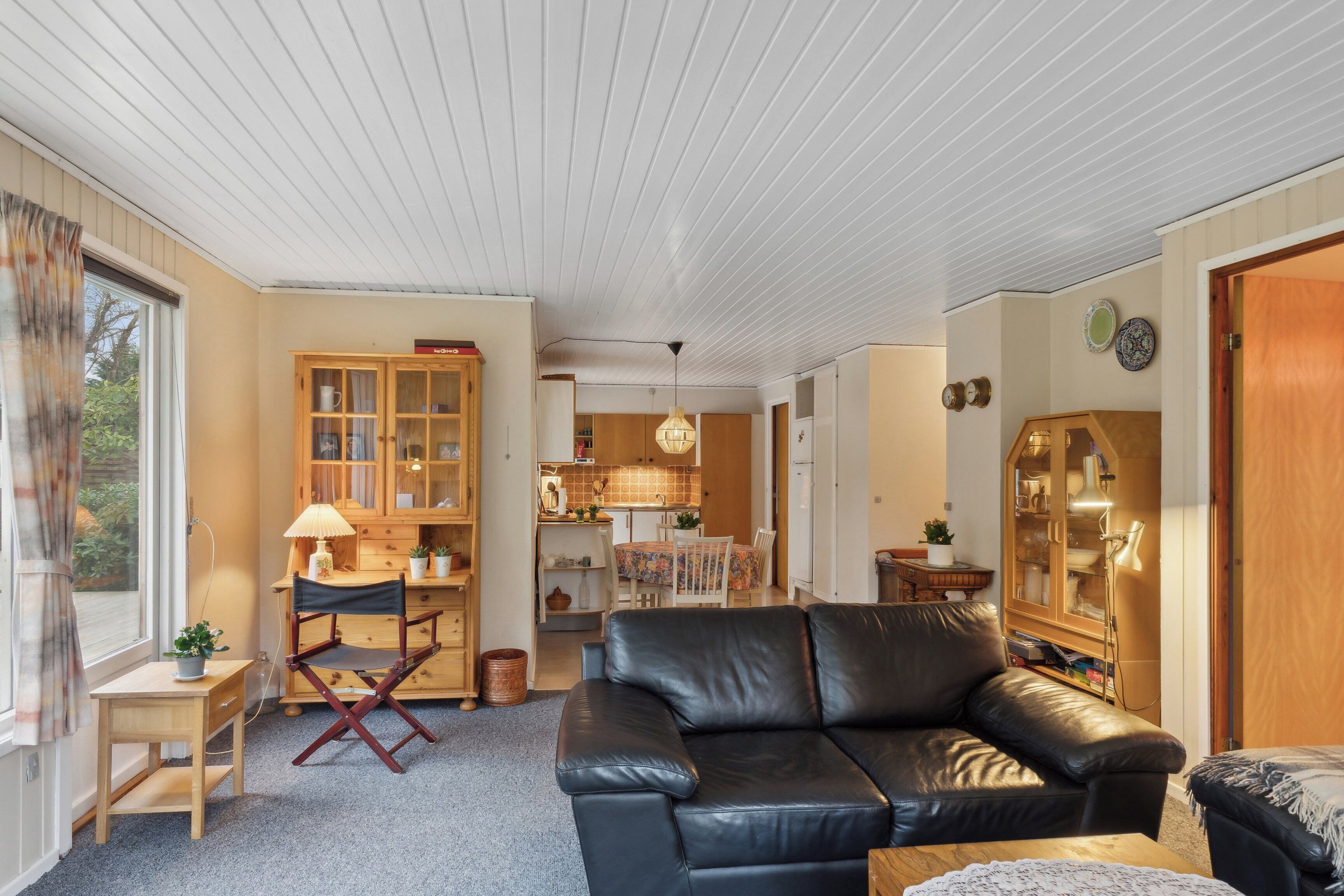 電視
