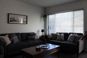 Smart TV, fireplace, books, stereo