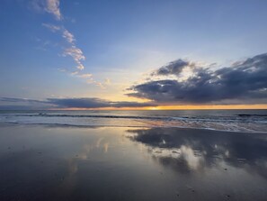 Beach - Küstenmuschel - Modern 1-room apartment, close to the beach, balcony, WLAN. Pets (Westerland)