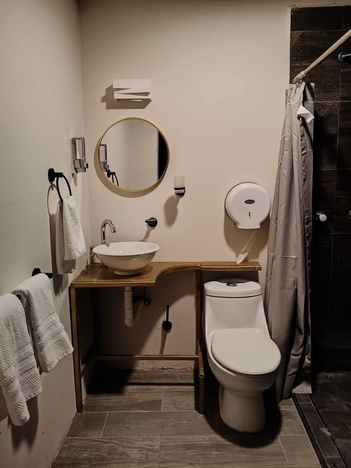 A compact bathroom with a sink, mirror, toilet, and shower curtain.