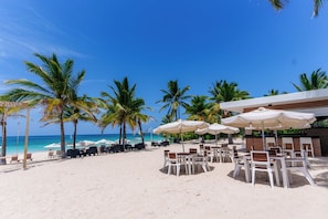 Un restaurant situé en bord de mer, avec une terrasse, des palmiers et une vue sur l’océan.