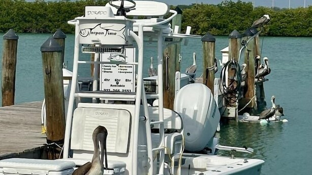 Miscellaneous - Seas the Keys Getaway with plunge pool/spa (Marathon)