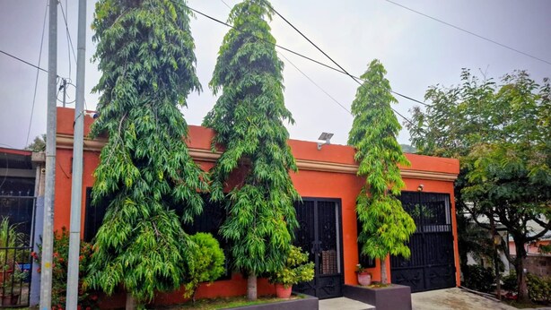 Un edificio residenziale con facciata rossa, cancelli neri e tre grandi alberi davanti.