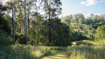 A pathway through a forested area with tall trees and a clear sky.