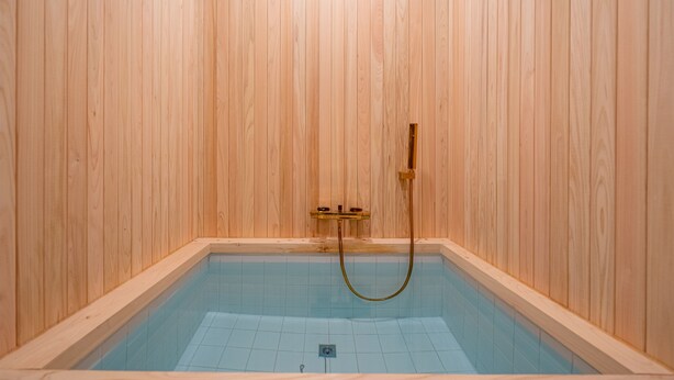 Een kamer met houten lambrisering, een rechthoekig zwembad en een douche.