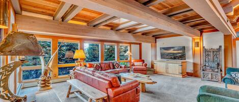 TV, fireplace, offices