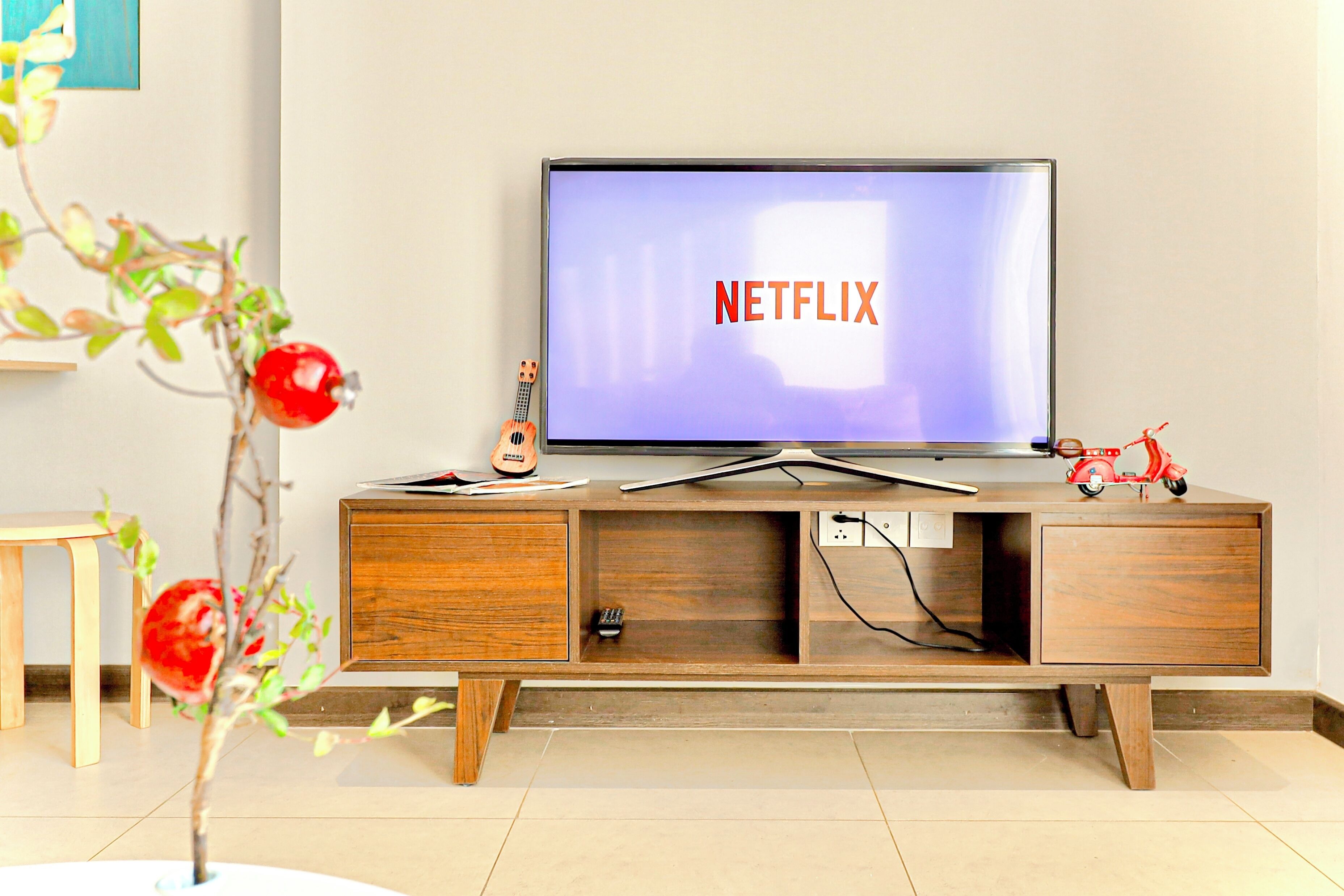 A modern living room with a wooden TV stand, a flat-screen TV displaying the Netflix logo, and a small plant with red berries.