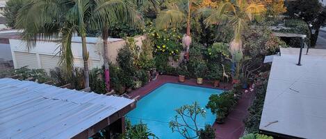 Una piscina sul tetto circondata da vegetazione rigogliosa e un cielo azzurro limpido.