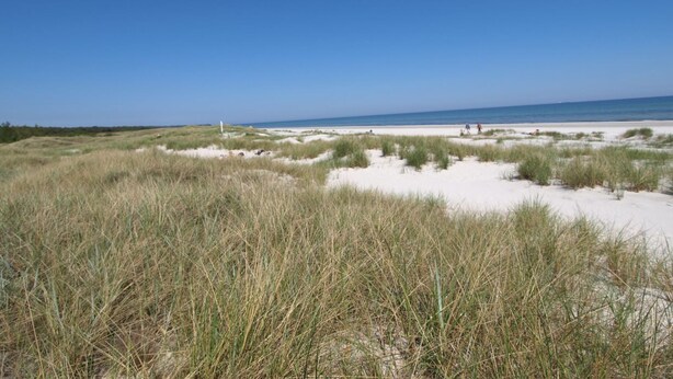 Una playa con dunas de arena y vegetación escasa.