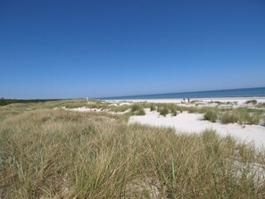 Una playa con dunas de arena y césped en primer plano, que se extiende hasta el océano en el fondo.