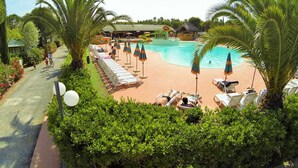 Un área de piscina con sillones de descanso y sombrillas, rodeada de palmeras y un camino.