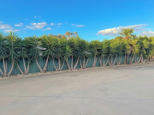 Pastoral Hotel Motel Echuca CBD