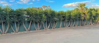 Pastoral Hotel Motel Echuca CBD