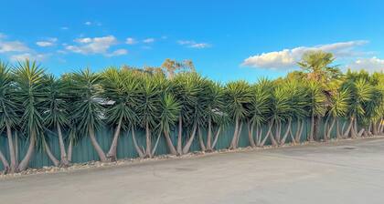 Pastoral Hotel Motel Echuca CBD