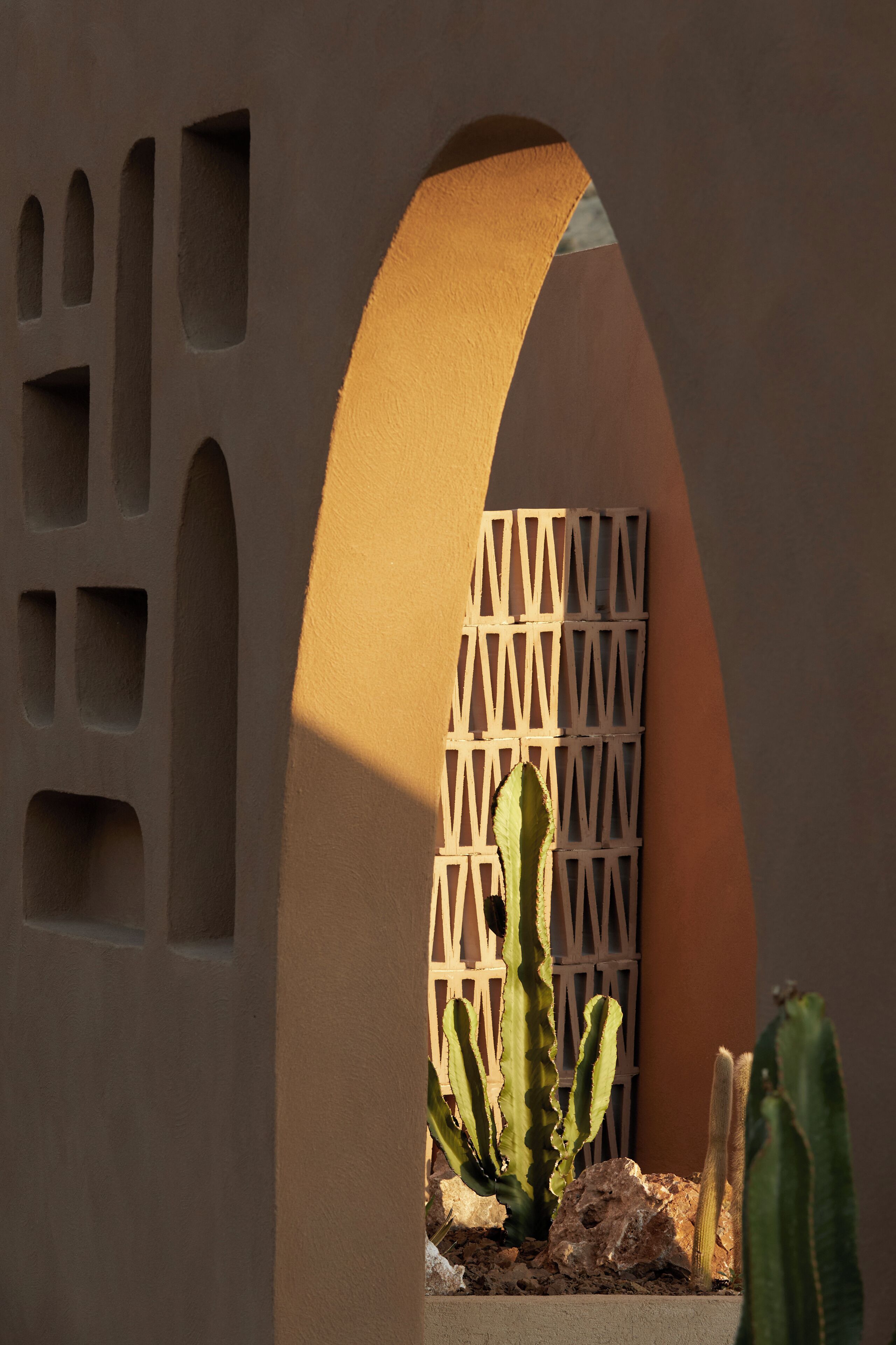 A cactus garden with a geometric wall and an arched doorway.