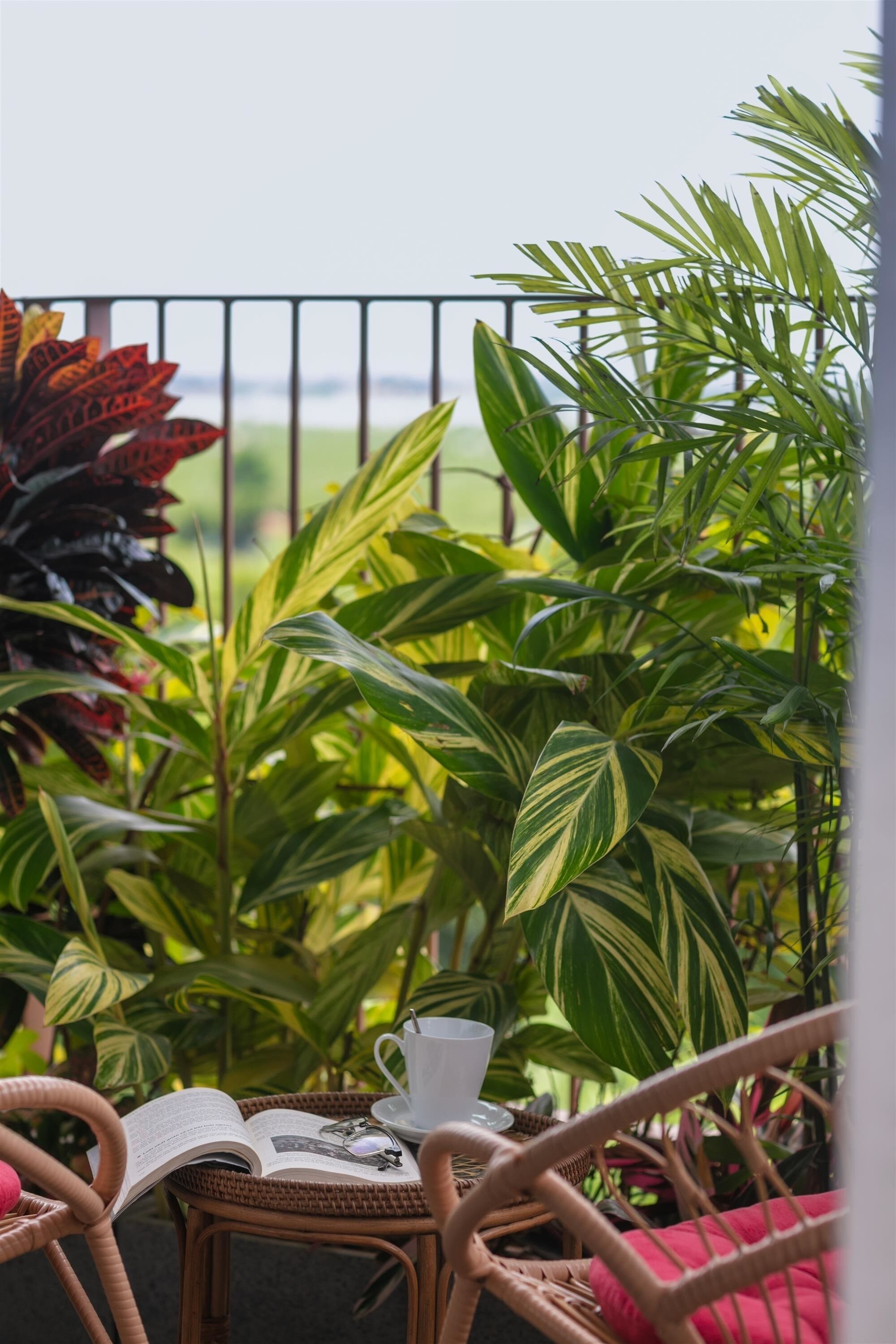 A wicker chair with a book and a cup on a table, surrounded by lush green plants.