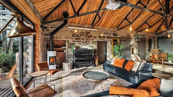 TV, fireplace, books
