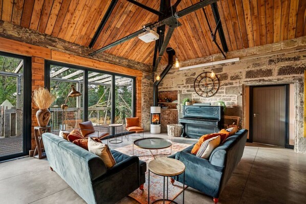 TV, fireplace, books, stereo