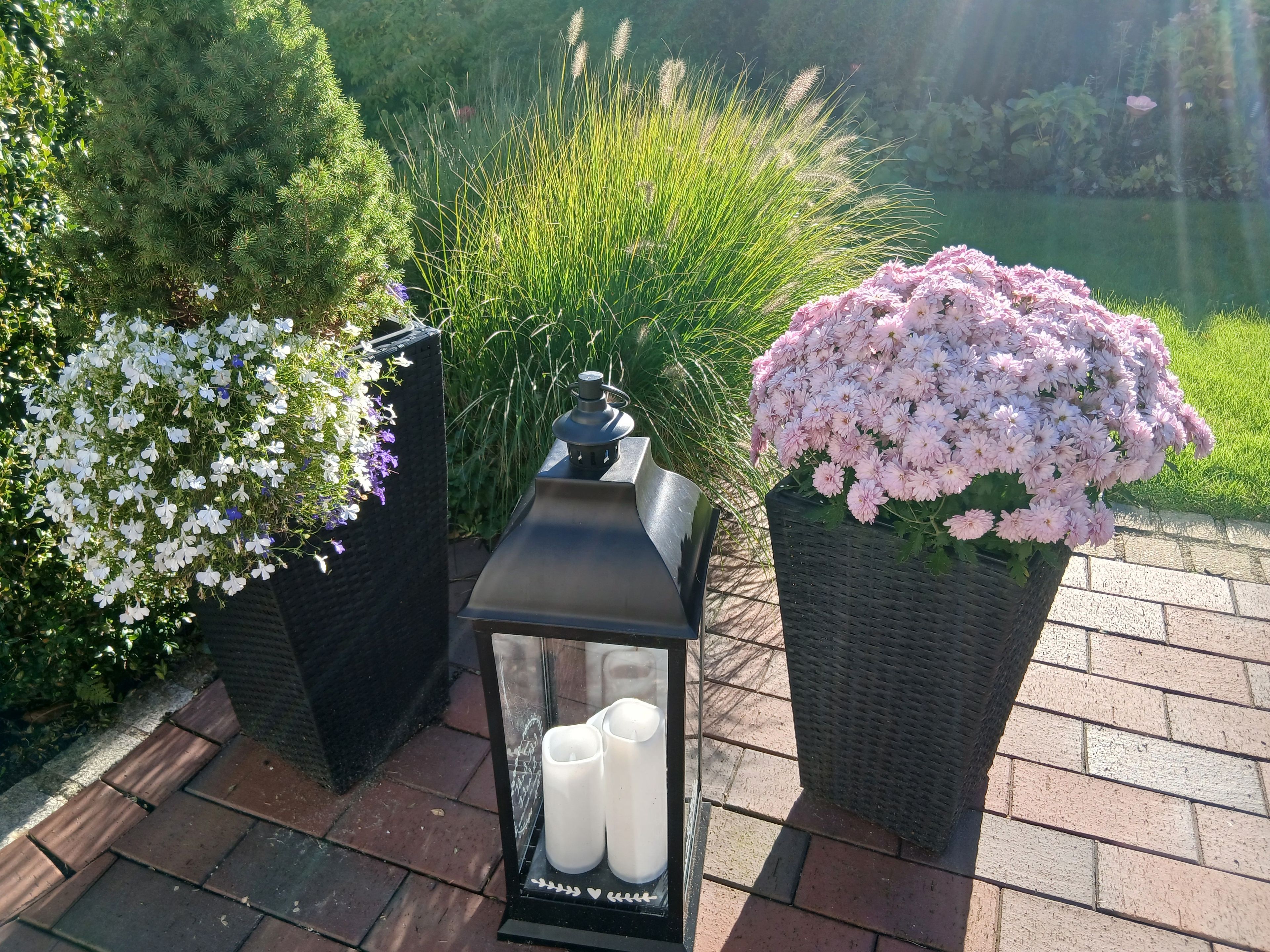 Een tuin met een lantaarn, kaarsen en bloempotten.
