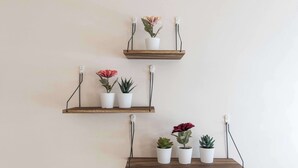 Three wooden shelves with potted plants and electrical outlets. - Coventry 2-bedroom Apartment-pet Friendly (Coventry)