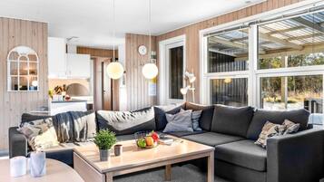 Televisión y chimenea