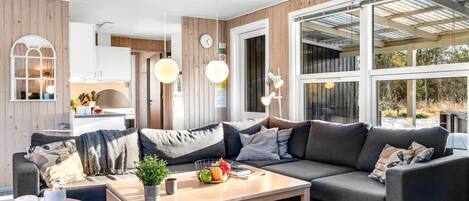 Televisión y chimenea