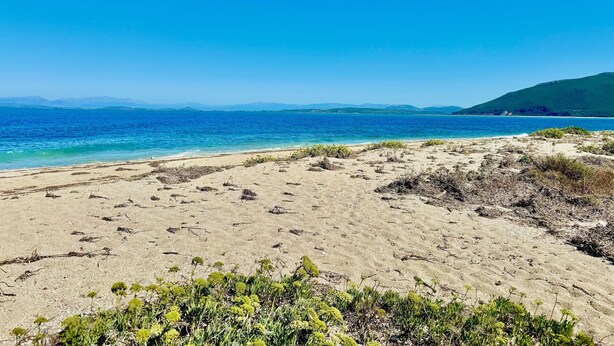 A beach with clear blue water and a sandy shore. - Beach Villa Simeoni with private pool (Lefkada)