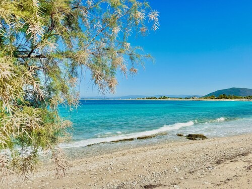 Beach Villa Fotini with private pool