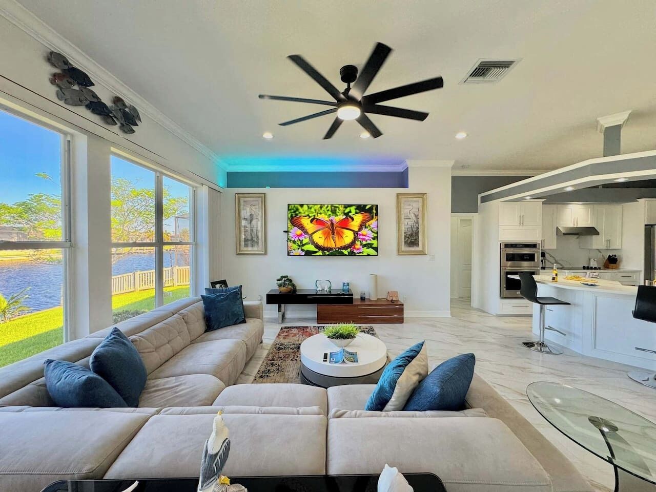 TV