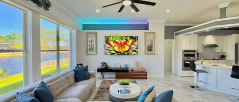 TV