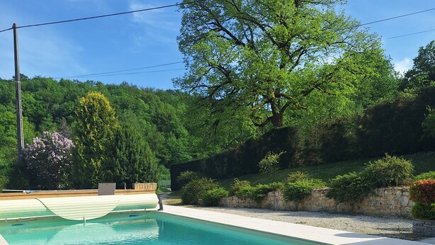 A rectangular swimming pool with a tiled deck, surrounded by greenery and trees.