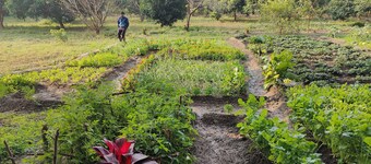 Escape to Nature: Tranquil Homestay on the Edge of the Forest in Uttarakhand.