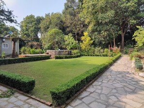 Property grounds - Escape to Nature: Tranquil Homestay on the Edge of the Forest in Uttarakhand. (Bail Parao)