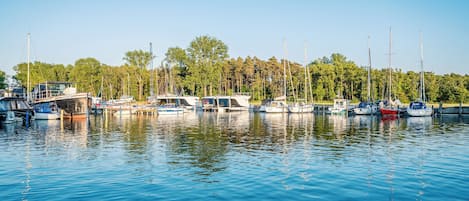 A marina with various boats docked, surrounded by trees.