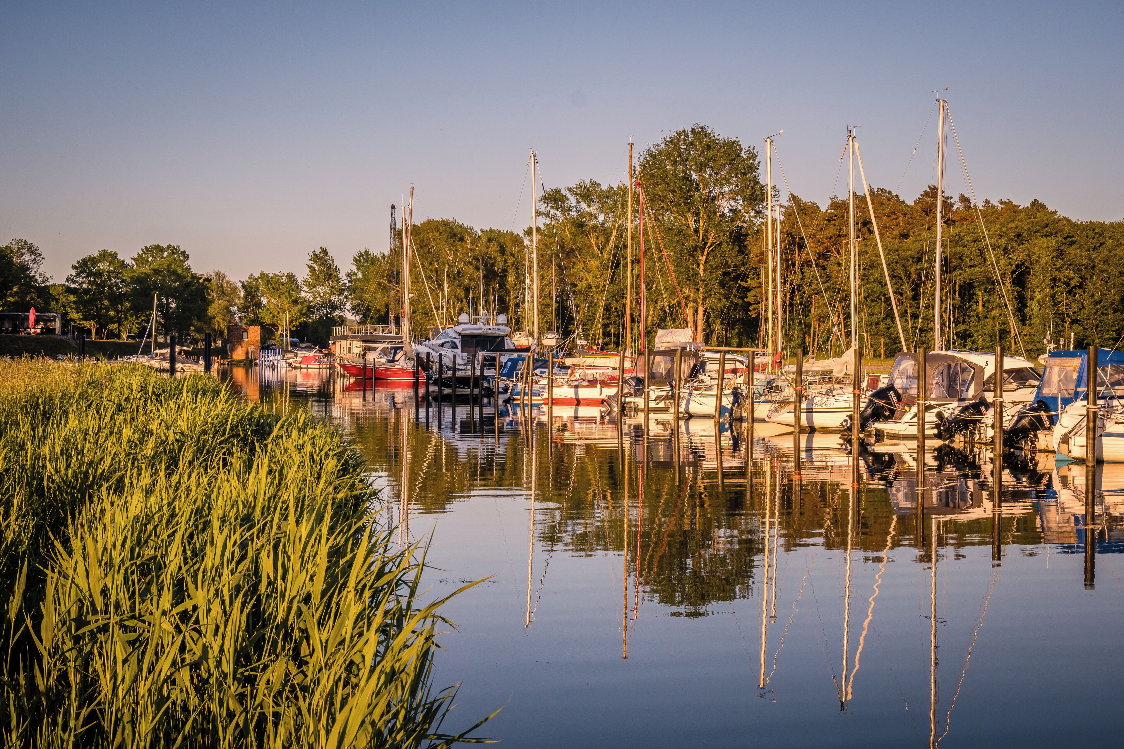 A marina with boats docked, surrounded by water and greenery.