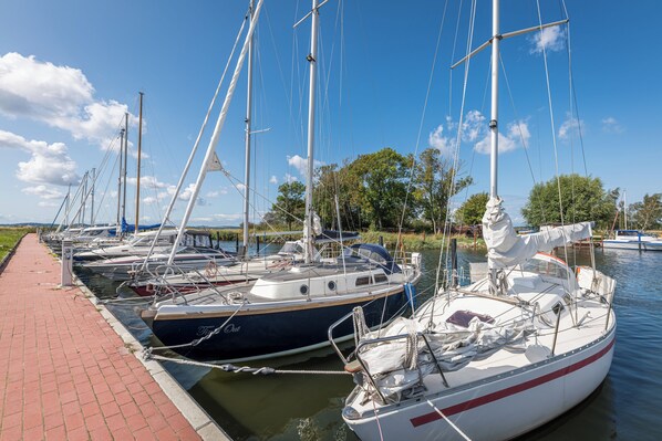 A row of sailboats docked at a marina with a clear sky and trees in the background. - Marina Martinshafen Lotsenhaus (Sagard)