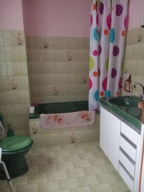 Hair dryer, toilet paper - Gîte for rent with two balconies (Les Ancizes-Comps)