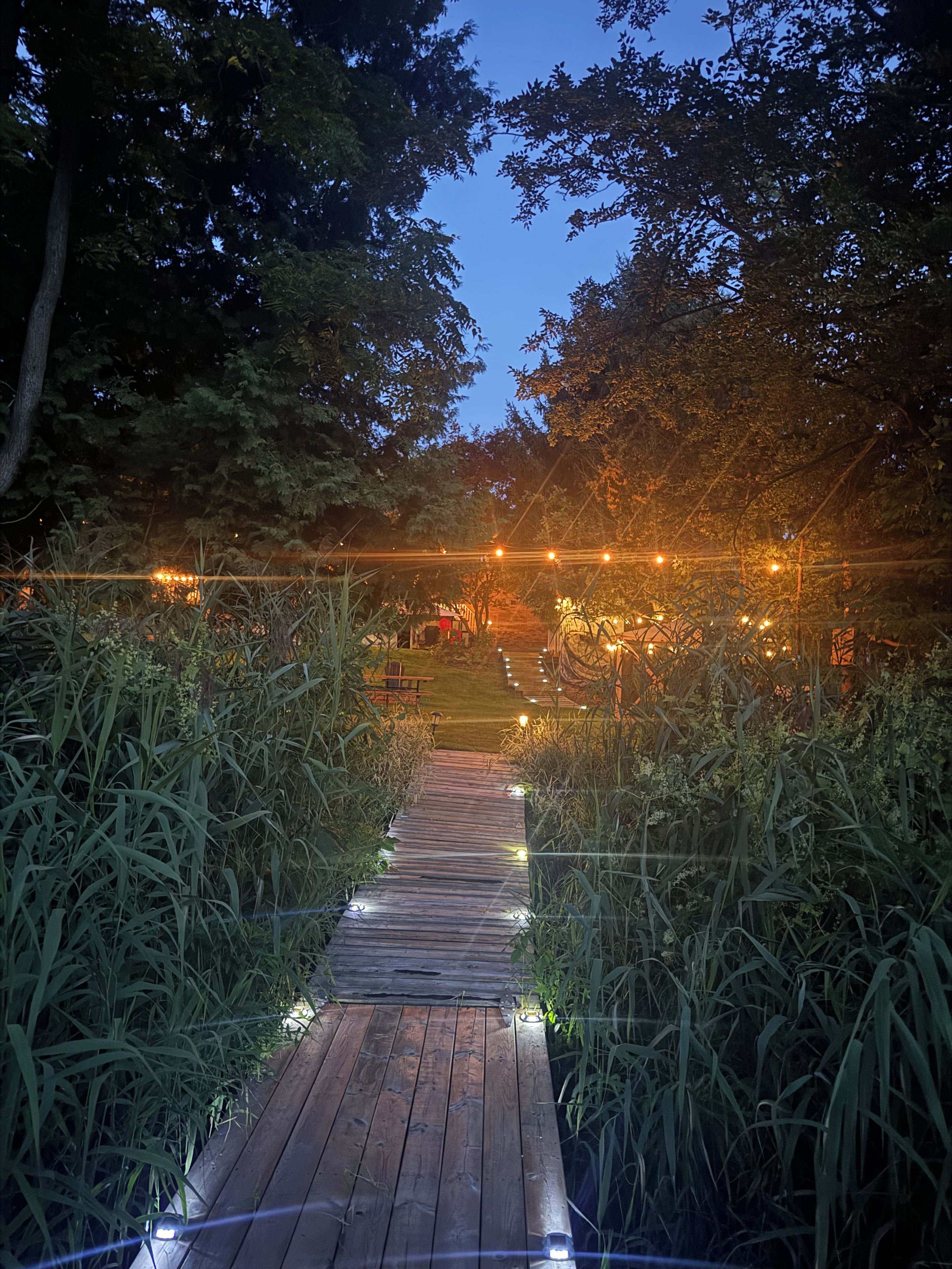 Un sentier en bois bordé d’herbes hautes qui mène à un bâtiment illuminé de guirlandes lumineuses.
