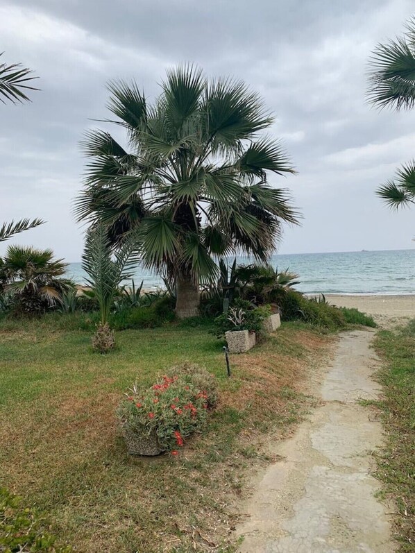 Playa en los alrededores 
