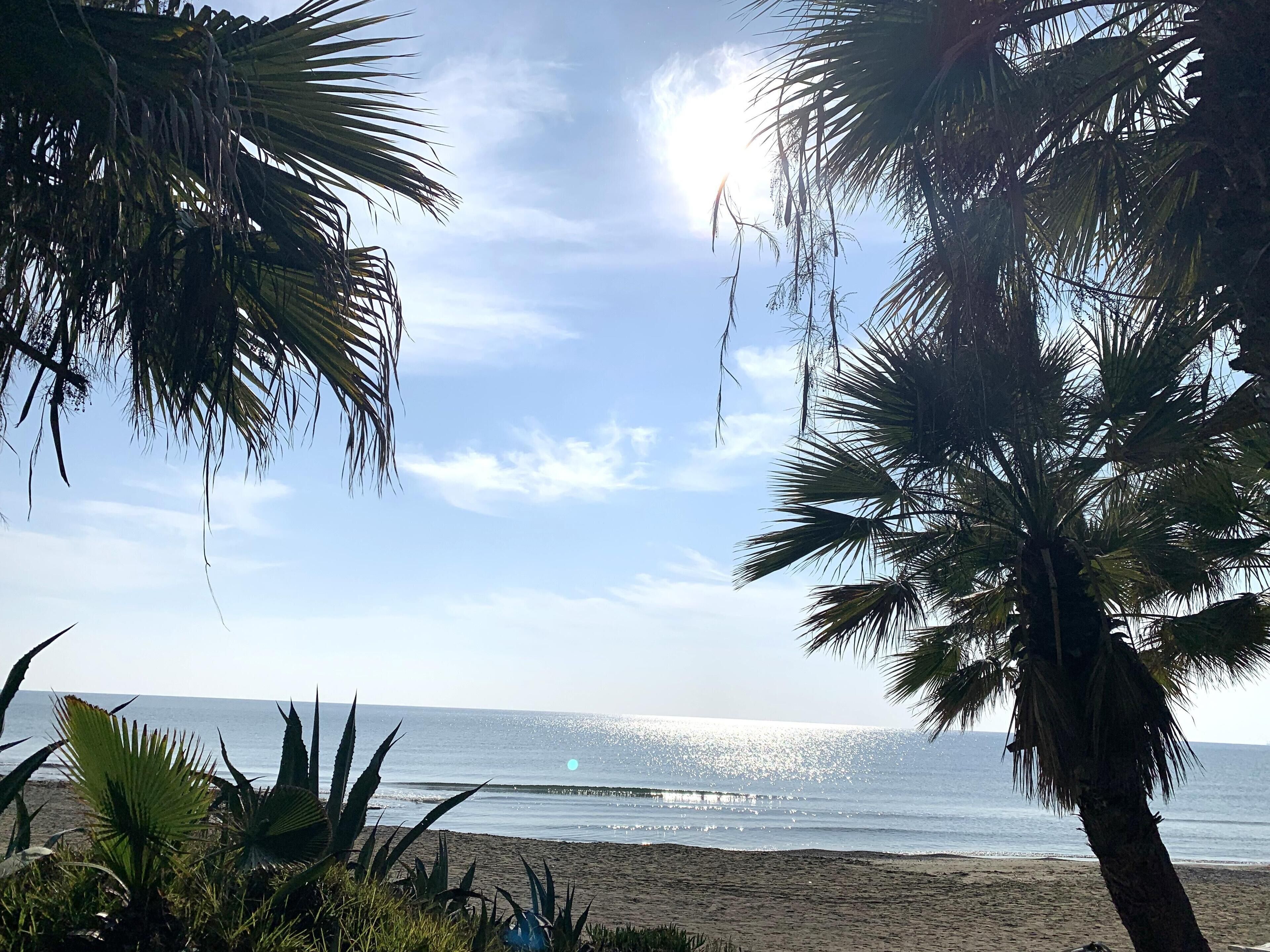 بالقرب من الشاطئ