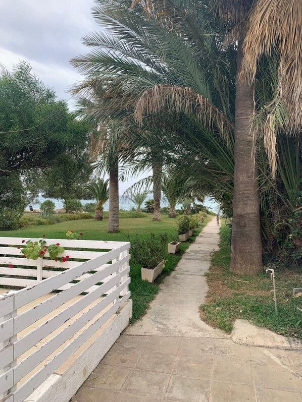A pathway lined with palm trees and potted plants, leading to a white fence with flowers.