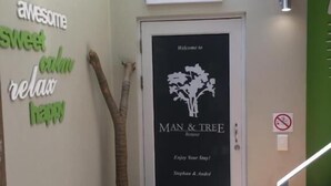 Un couloir agrémenté d’une pancarte de bienvenue, d’un arbre et d’œuvres d’art murales inspirantes.